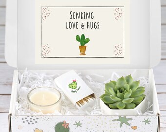 Sending You Love and Hugs - Succulent and Candle - Care Package Set - Best Friend Gift - Natural Succulent - Birthday Gift - Gifts That Grow