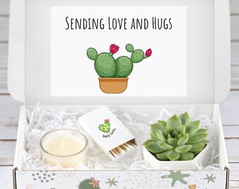 Sympathy Gift - Succulent Gift Box - Sending You Love and Hugs - Miss You Gift - Thinking of you Gift - Send a Gift - Sending Hugs