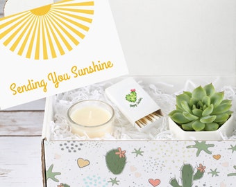 Positive Gift Box - Succulent Gift Box - Positive Energy Gift Box - Sending You Sunshine - Thinking of You Gifts - Gift That Grow - Custom