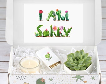 Sorry For Being A Prick Sorry Gift Box I M Sorry Gift Set Etsy Sorry For Being A Prick Sorry Gift Box I M Sorry Gift Set Etsy