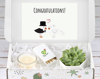 Engagement Gift - Congratulations - Succulent Gift Box - New Couple Gift Ideas - Congrats on your Engagement - Send a Gift - Live Plant Gift