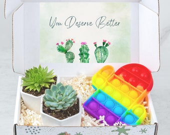 You Deserve Better Gift Box- Breakup Care Package- Cheer Up Gift Box- Break Up Gift for Friend- Divorce Gift For Her- Succulent Gift Box