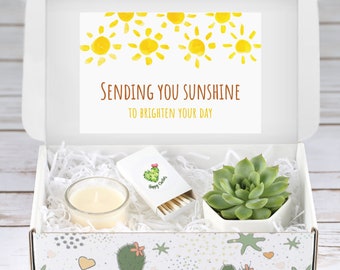 Sending you Sunshine - Succulent and Candle - Care Package Set - Best Friend Gift - Natural Succulent - Long Distance Gift - Birthday Gift