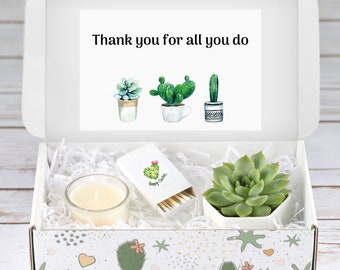 Appreciation Gift - Live Succulent Gift Box - Corporate Gifts - Coworker Gift -  Gift For Co-Workers - Thank You Gift - Custom Gift box