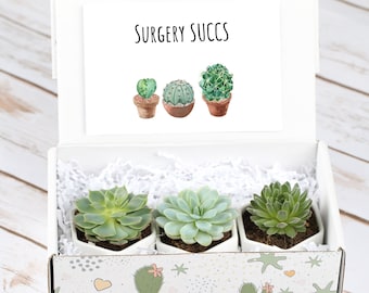 Surgery Succs Gift Box- Hospital Gift Box- Gift With Live Plants- Encouragement Gift- Long Distance Gift- Succulent Gift- Get Well Gift Idea