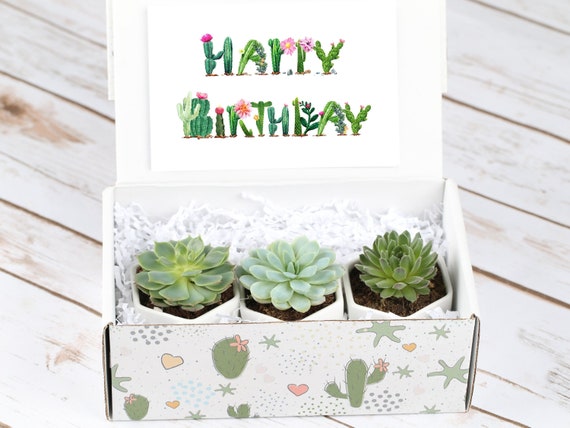 red ceramic plant pots So Cute Ceramic Planter