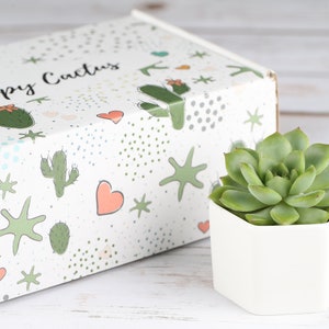 May include: A white box with a green and white cactus pattern and the text "Happy Cactus" on the top. A small succulent plant in a white hexagonal pot is sitting next to the box.