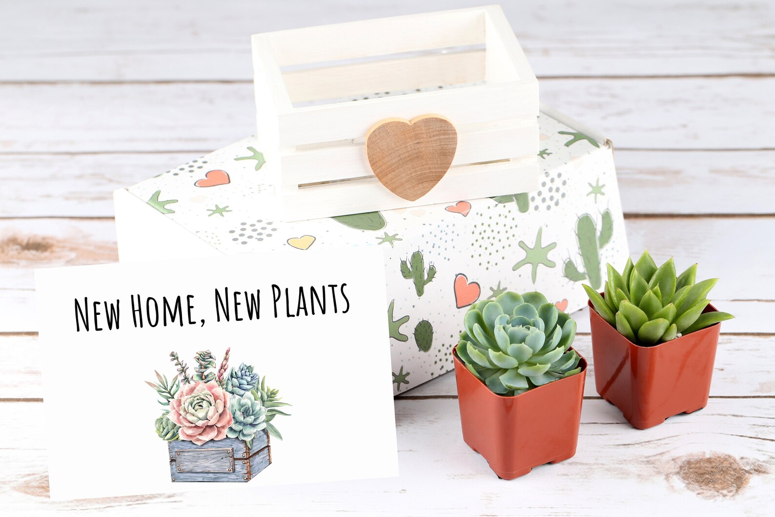 New Home New Plants Housewarming Gift Set Live Succulents Etsy