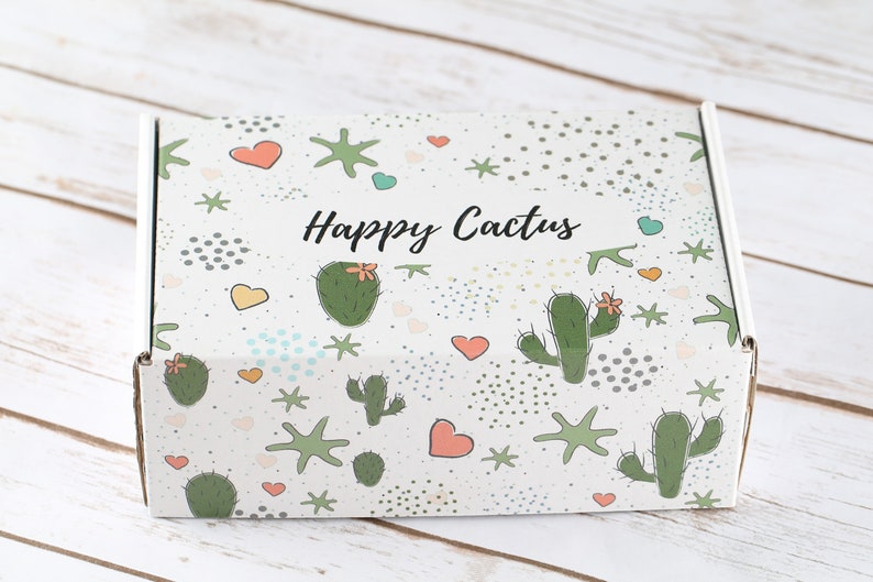 May include: A white cardboard box with a colorful pattern of cacti, stars, and hearts. The box has the text "Happy Cactus" printed on it.