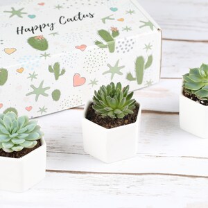 Happy Mother's Day- Gift For Mom- Set of Succulents- Gift For Mother's Day- Mothers Day Gifts- Gift Set For Mom- Mother's Day Gift Set image 2