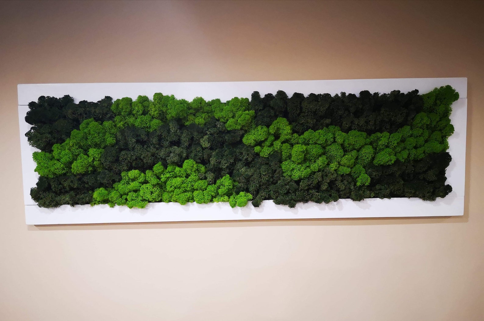 Moss Wall Art Scandinavian Moss Image of Moss Green Wall Etsy