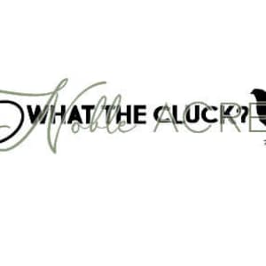 What the cluck? svg, funny svg, egg carton, eggs, chicken, download