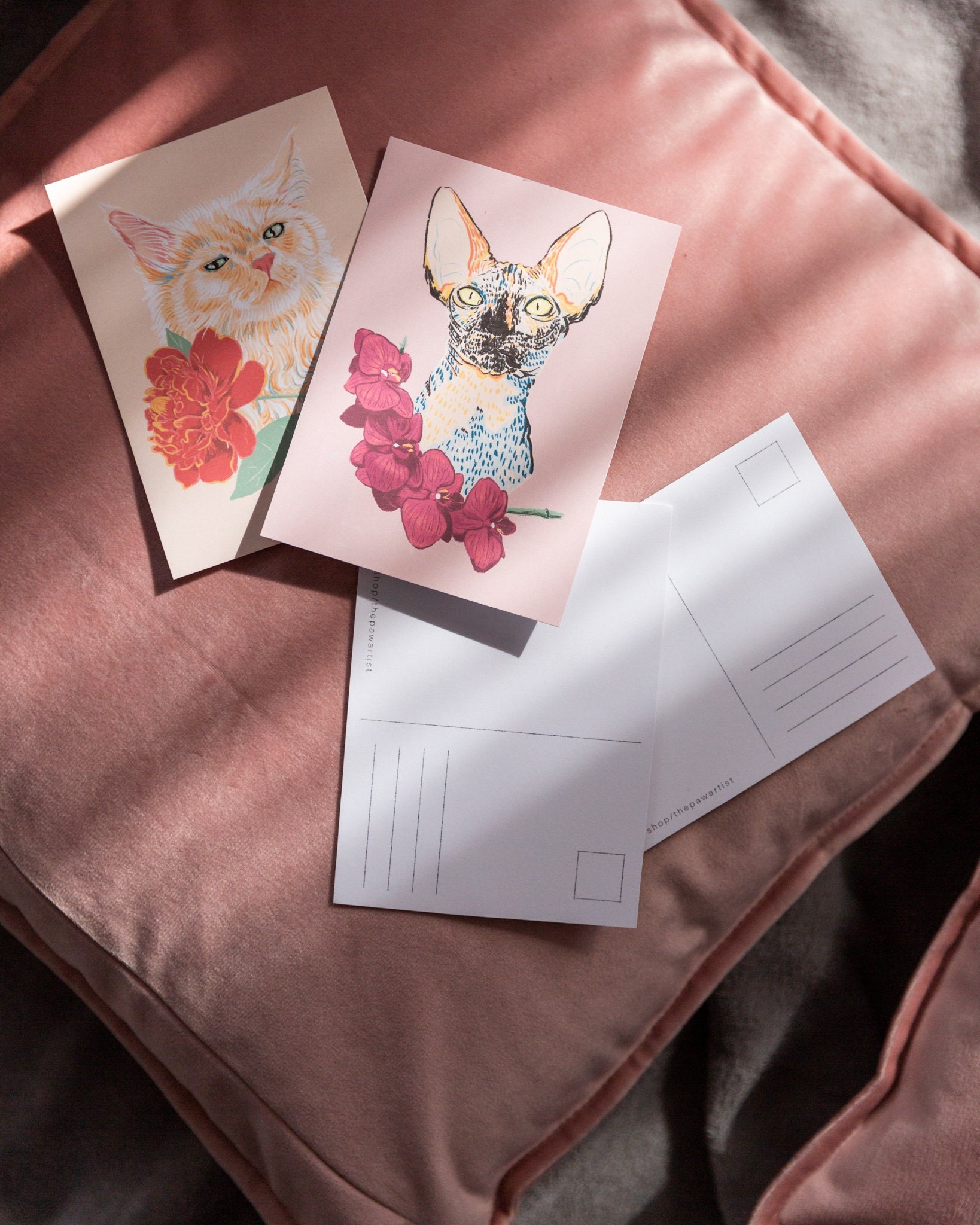 Trafico de animais: O Brasil sem números, a Amazônia sem asas, image size:1638x2048