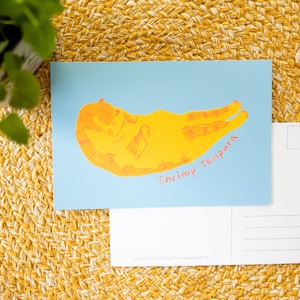 Adesivo de tempura de camarão e gato, arte de cartão postal de gato laranja fofo, ilustração engraçada de gato, comida japonesa, sushi kawaii, adesivo para laptop