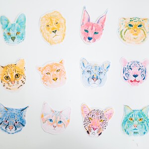 May include: A set of 12 colourful cat stickers featuring different breeds of cats, including a lion, a lynx, and a bobcat. The stickers are all hand-painted and have a whimsical, cartoonish style.