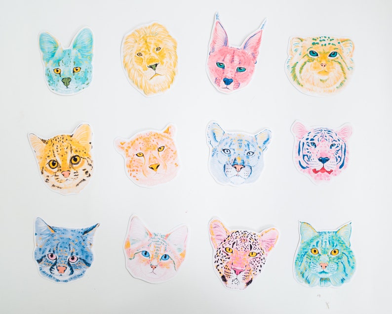 May include: A set of 12 colourful cat stickers featuring different breeds of cats, including a lion, a lynx, and a bobcat. The stickers are all hand-painted and have a whimsical, cartoonish style.