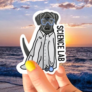 Adesivo de trocadilho de química/laboratório de ciências/adesivo de vinil à prova d'água/adesivos de papel/presentes para todas as ocasiões/adesivos científicos/adesivos de cachorro/Labrador