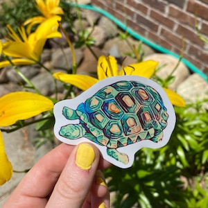 Schildkröte Schildkröte Sticker, Wasserfeste Vinyl Sticker, Papiersticker, Geschenke für jeden Anlass, Tiersticker, bunte Sticker