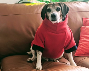 teddy bear sweater for dogs