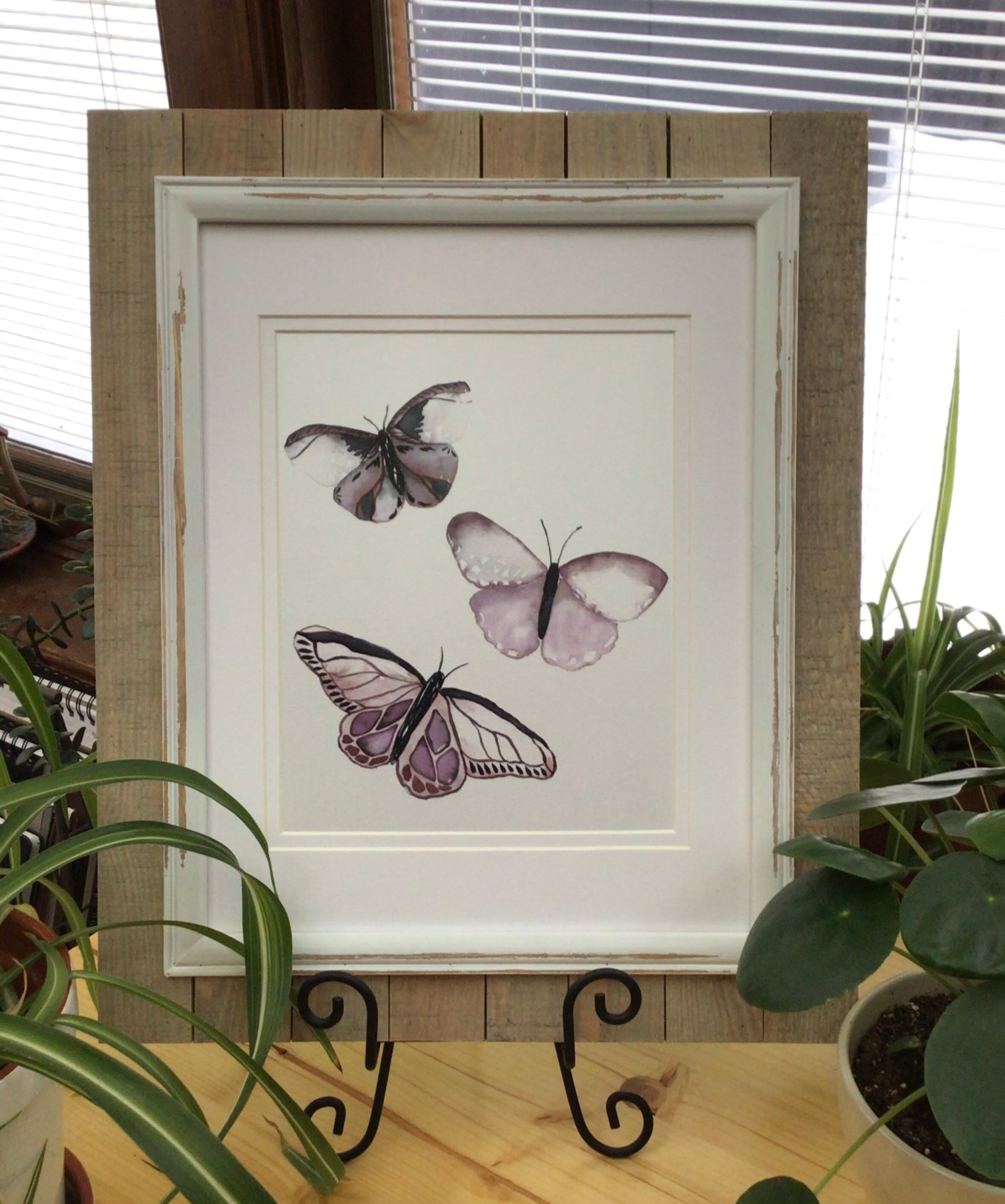 Butterfly Trio 8 x 10 Print Etsy