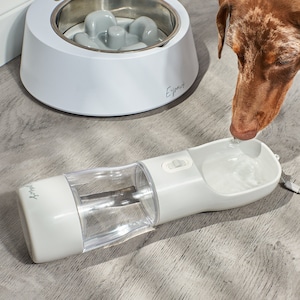 Pet Water/Treat Bottle Personalised Dog Pet Water Bottle Treat Compartment - Epaws Essentials - Personalisation