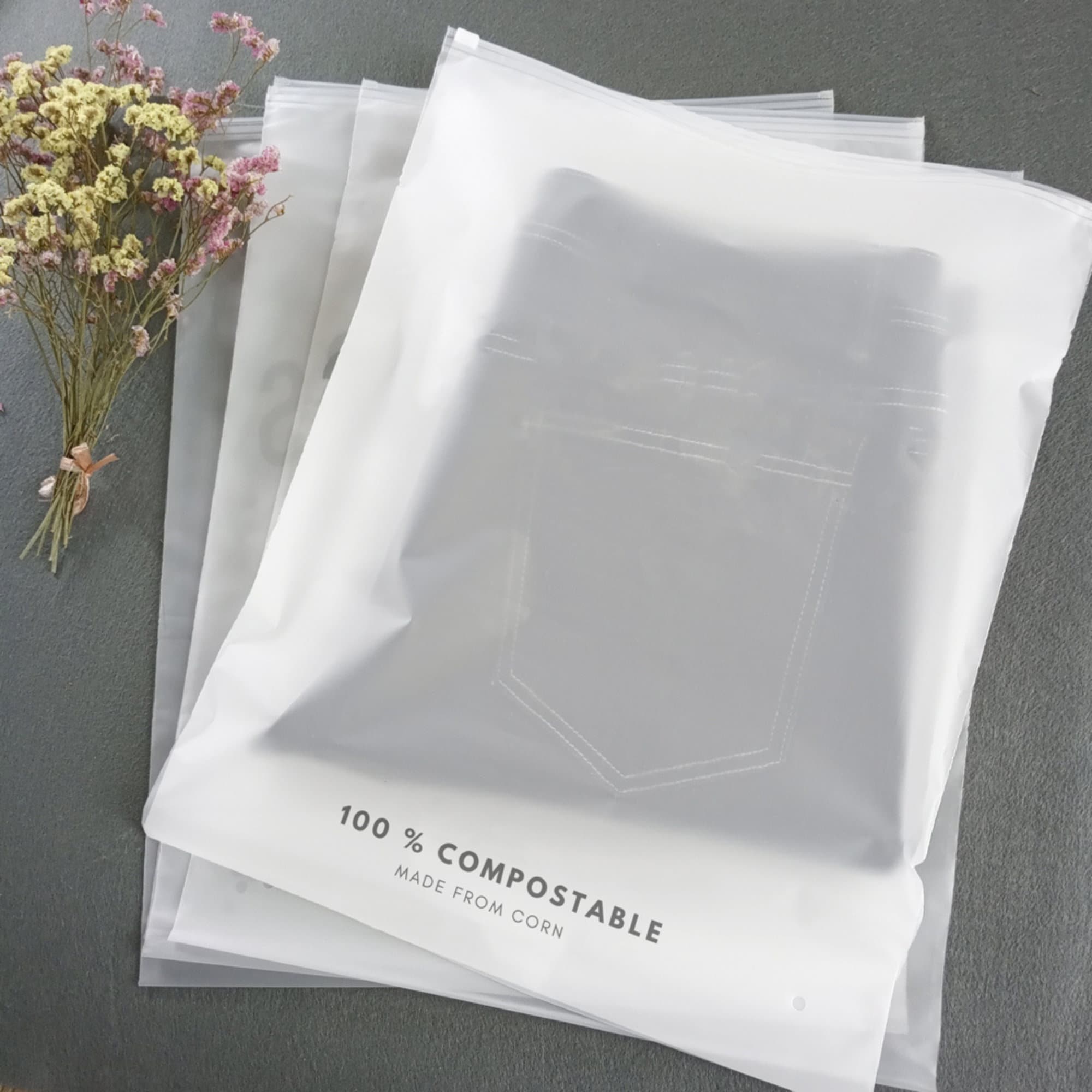 2022 Wholesale Custom Ziplock Biodegradable Bags Clothes Packaging Bag  Frosted Zipper Plastic Bags - China Biodegradable Bag and Clothing Bags  price