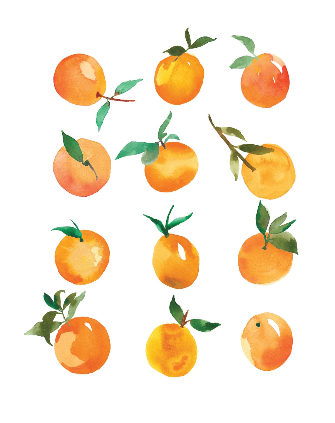Clementine No. 2 Watercolor Print Fruit Art Gallery Wall Etsy