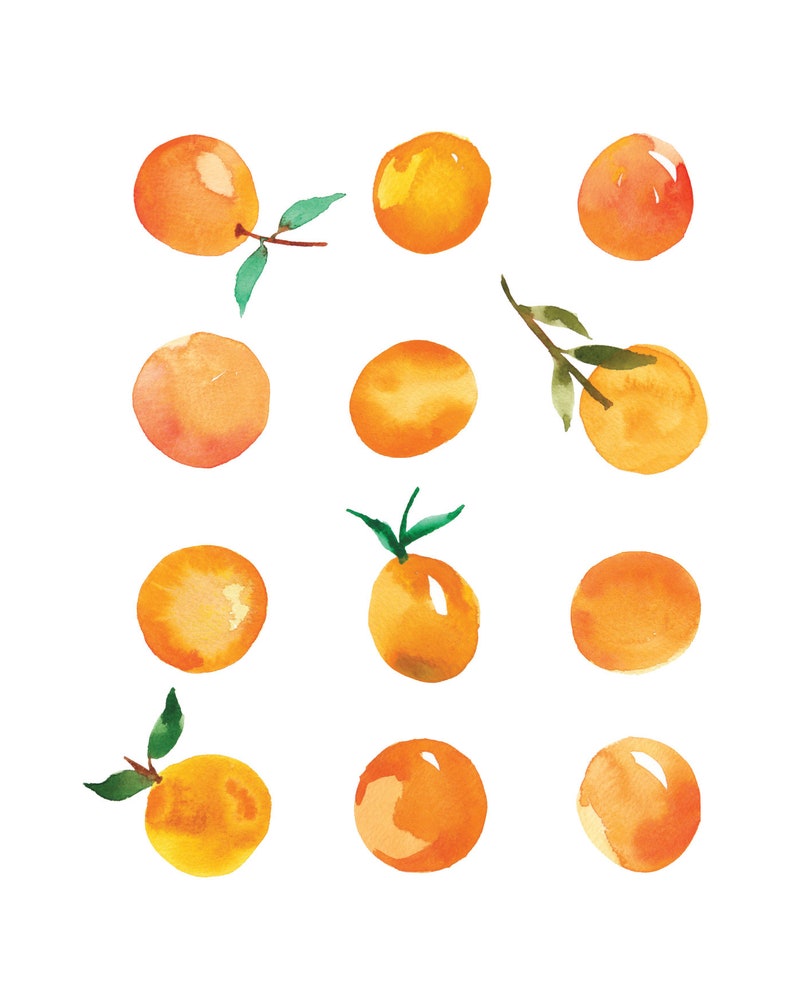 Clementine No. 1 Watercolor Print Fruit Art Gallery Wall Etsy