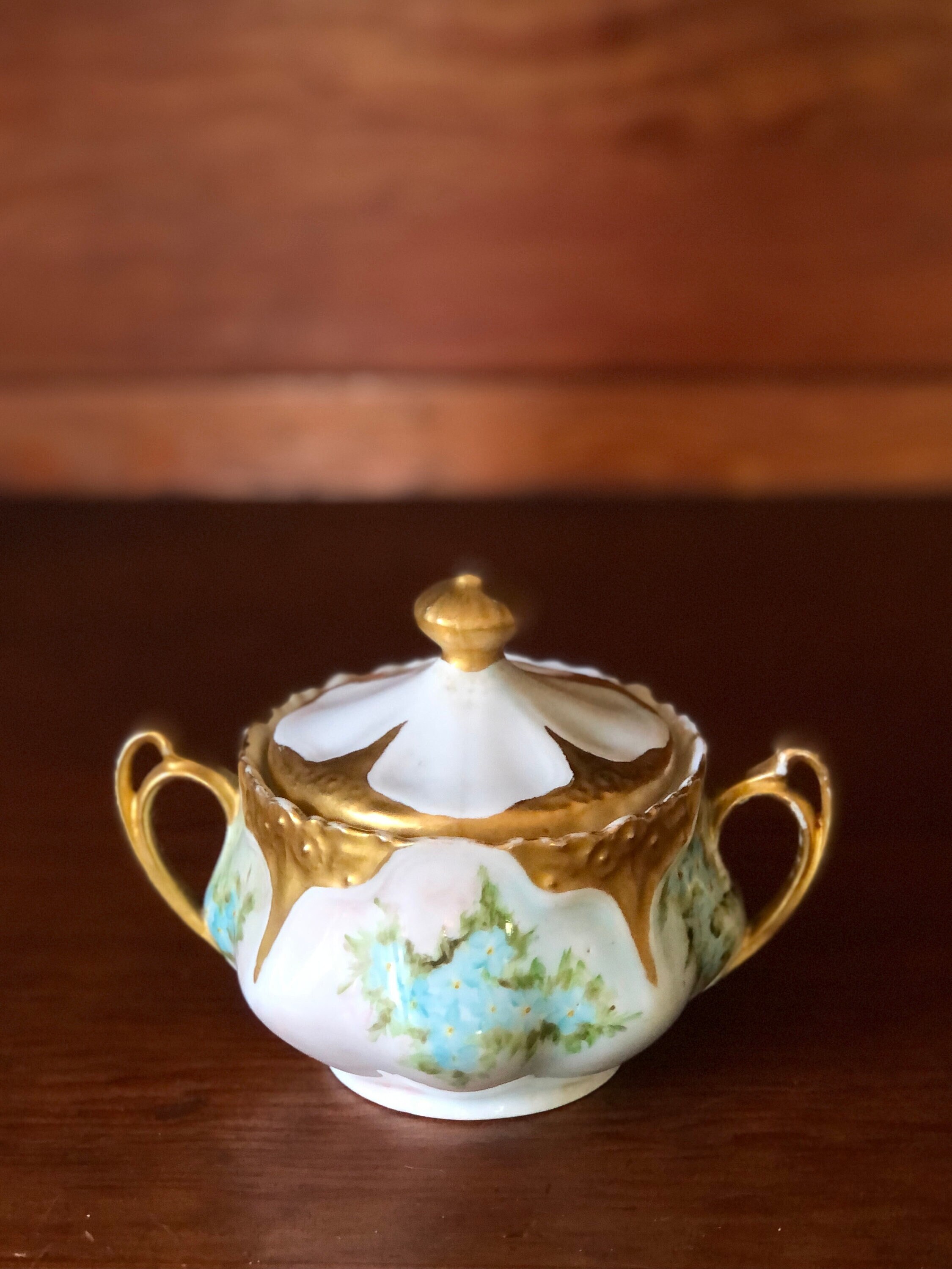 Handpainted German Porcelain Sugar Bowl Zeh Scherzer Z.S. & Co. Bavaria Ada Pattern