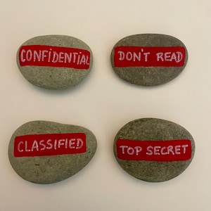 Funny Painted Rock Push Pins: Office, School, Home - Set of 4