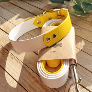 Two-Tone Biothane Collar & Leash Combo