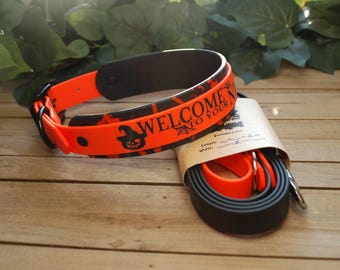 Halloween Custom Biothane Dog Collar & Leash Combo -  Double Layer - 1 inch