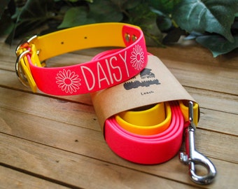 Custom Name Biothane Collar and Leash Combo - Two Tone