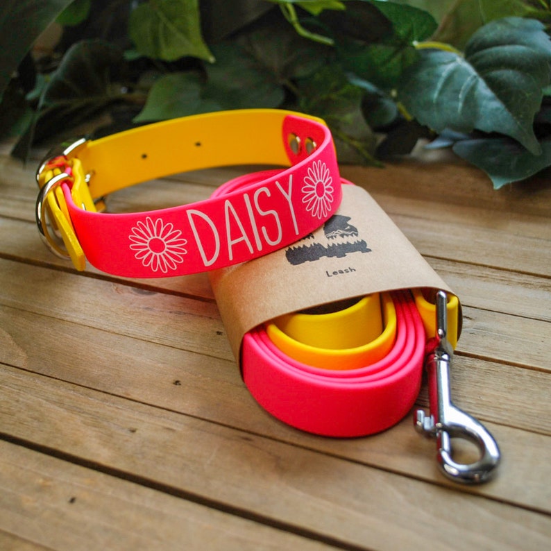 May include: A pink and yellow dog collar and leash set with the name "DAISY" printed on the collar in white. The collar and leash are made of a bright, neon-colored rubber material.