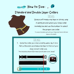 May include: An instructional graphic on a light blue background, titled "How to Size: Standard and Double Layer Collars." It features a dog silhouette, measuring tape, and text explaining collar sizing using inches. Includes a diagram with an 18-inch measurement.