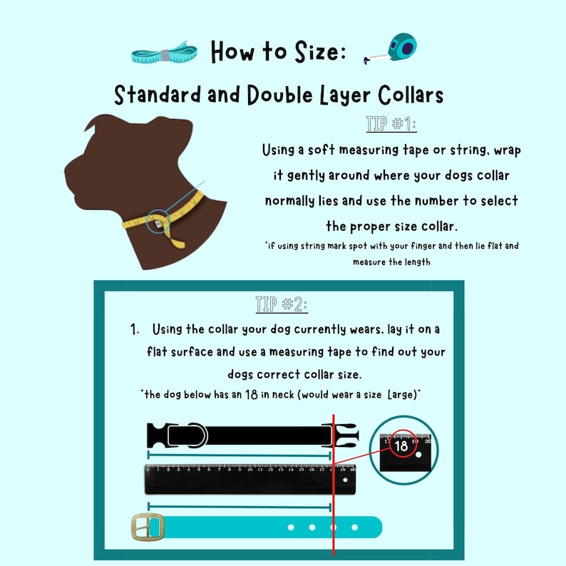 May include: An instructional graphic on a light blue background, titled "How to Size: Standard and Double Layer Collars." It features a dog silhouette, measuring tape, and text explaining collar sizing using inches. Includes a diagram with an 18-inch measurement.