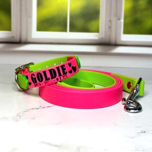 Custom Name Biothane Collar and Leash Combo - Two Tone image 4