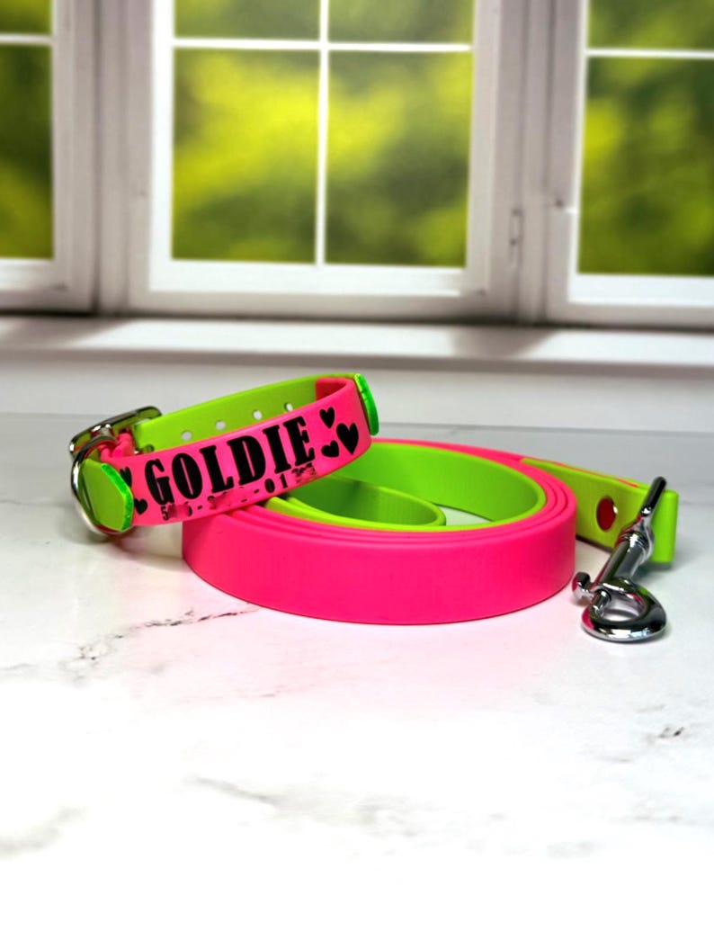 Custom Name Biothane Collar and Leash Combo - Two Tone image 4