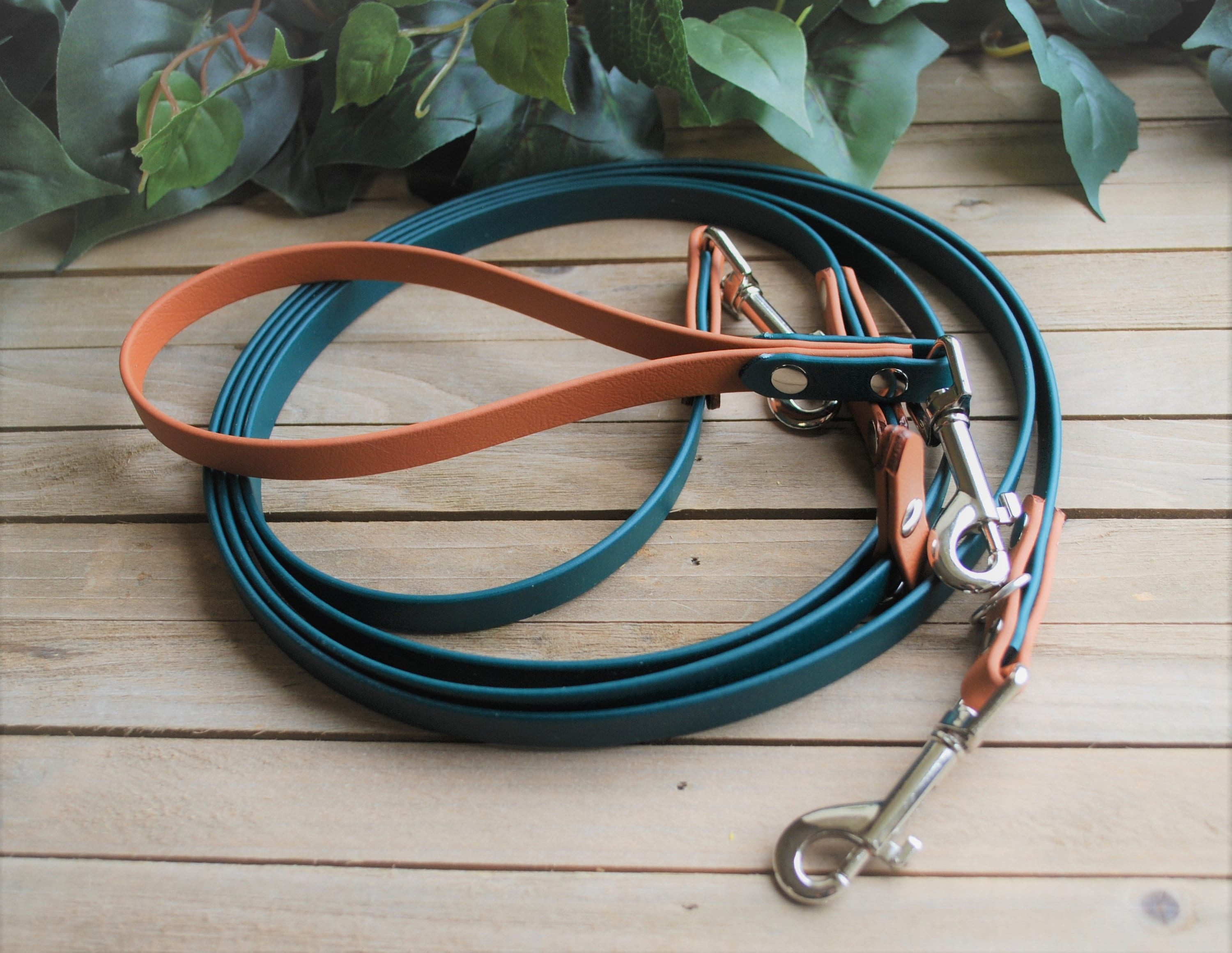 Biothane hands free leash deals