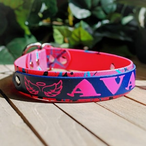 Double Layer Biothane Slip Collar - 1 inch - Splatter Collar - Biothane Dog Collar - Waterproof Collar