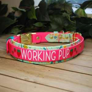 Custom Splatter Biothane Collar- Double-Layered - Two-Tone, 3/4", 1" & 1.5" Wide: Waterproof, Adjustable, Durable, Easy to Clean