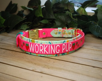 Kundenspezifisches Splatter Biothane-Halsband - Doppellagig - zweifarbig, 3/4", 1" & 1,5" breit: Wasserdicht, verstellbar, langlebig, leicht zu reinigen