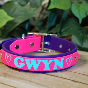 Custom Name Biothane Dog Collar & Leash Combo -  Double Layer