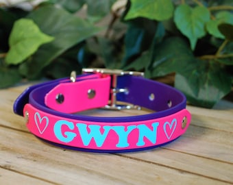 Custom Name Biothane Dog Collar & Leash Combo -  Double Layer