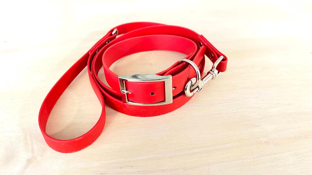 Biothane Leash and Collar Combo Silver Hardware Etsy