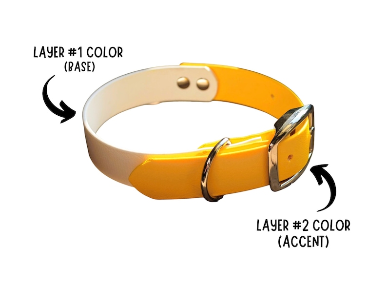 May include: A two-tone dog collar with a white base and yellow accent. The collar features a silver-colored buckle and a D-ring for leash attachment. Text on the image indicates the color layers.