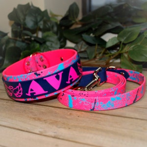 Dubbellaags Biothane Slip Collar - 1,5 inch - Splatter Collar - Biothane Dog Collar - Waterdichte halsband