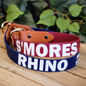 Two-Tone Biothane Slip Collar