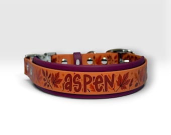 Custom Fall Biothane Collar- Double-Layered - Two-Tone, 3/4", 1" & 1.5" Wide: Waterproof, Vegan Leather, Adjustable, Durable, Easy to Clean