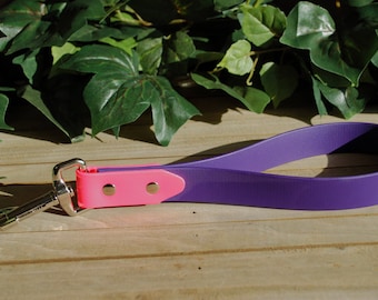 May include: A purple and pink dog leash with a silver clip. The leash is made of a soft, flexible material.